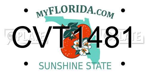 CVT1481 Florida License Plate