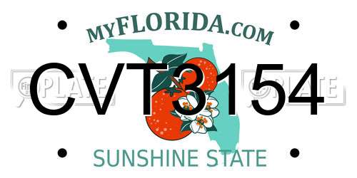 CVT3154 Florida License Plate