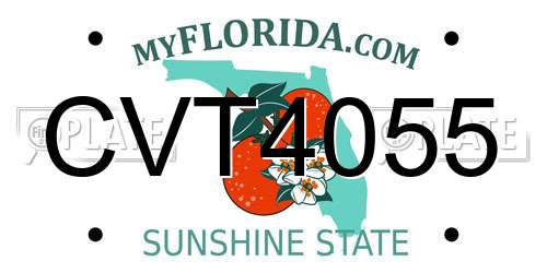 CVT4055 Florida License Plate