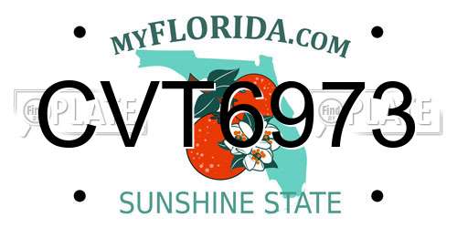 CVT6973 Florida License Plate
