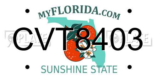 CVT8403 Florida License Plate