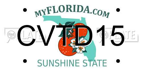 CVTD15 Florida License Plate