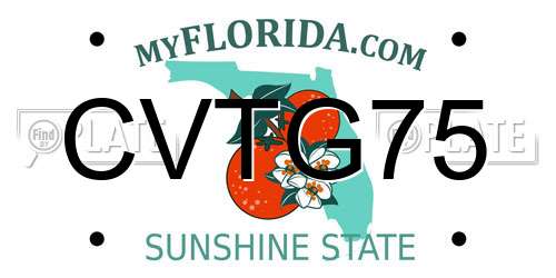 CVTG75 Florida License Plate