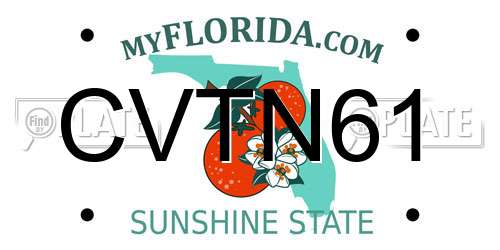 CVTN61 Florida License Plate