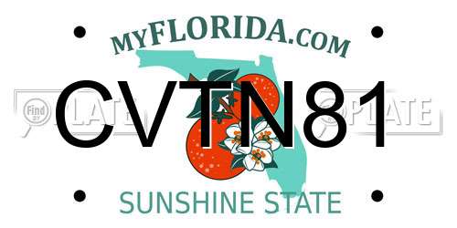 CVTN81 Florida License Plate