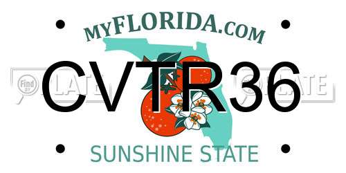CVTR36 Florida License Plate