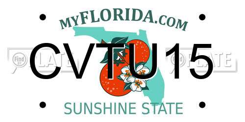 CVTU15 Florida License Plate