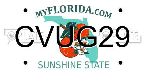 CVUG29 Florida License Plate
