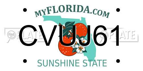 CVUJ61 Florida License Plate