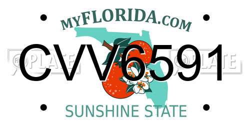 CVV6591 Florida License Plate