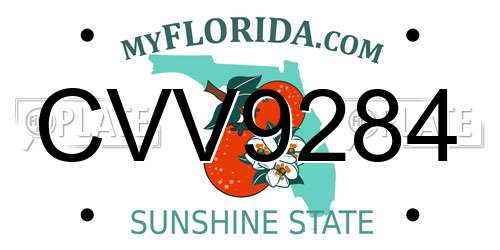 CVV9284 Florida License Plate