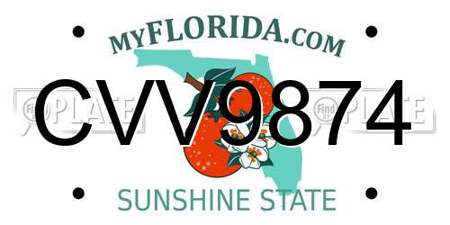 CVV9874 Florida License Plate