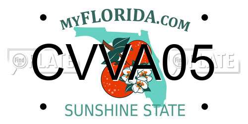 CVVA05 Florida License Plate