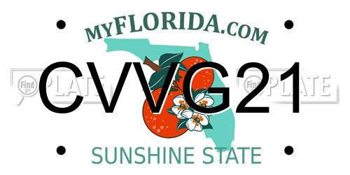 CVVG21 Florida License Plate