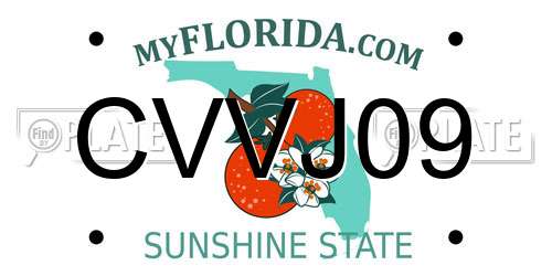 CVVJ09 Florida License Plate