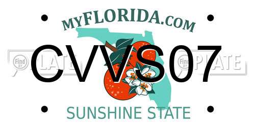 CVVS07 Florida License Plate