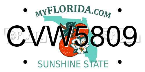CVW5809 Florida License Plate