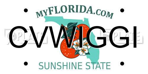 CVWIGGI Florida License Plate