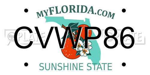 CVWP86 Florida License Plate