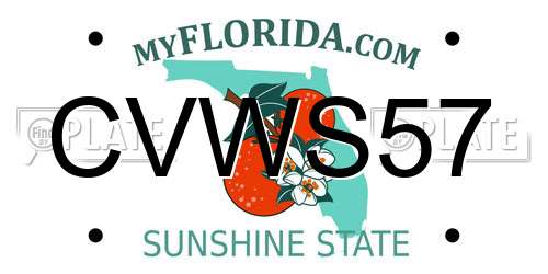 CVWS57 Florida License Plate