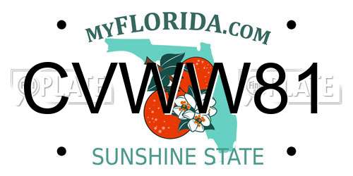 CVWW81 Florida License Plate