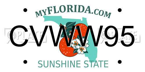 CVWW95 Florida License Plate