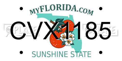 CVX1185 Florida License Plate