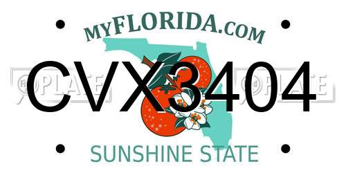 CVX3404 Florida License Plate
