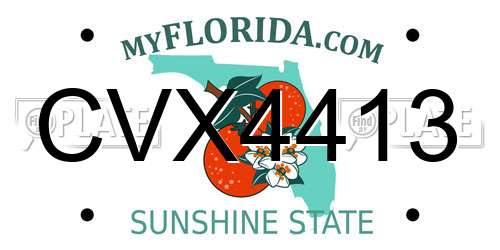 CVX4413 Florida License Plate