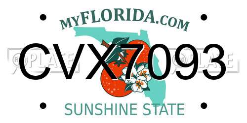 CVX7093 Florida License Plate