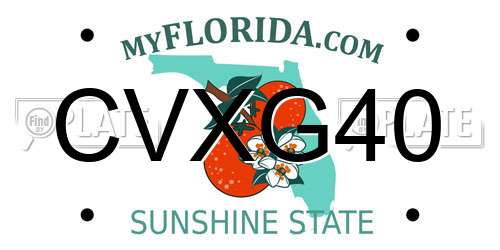 CVXG40 Florida License Plate