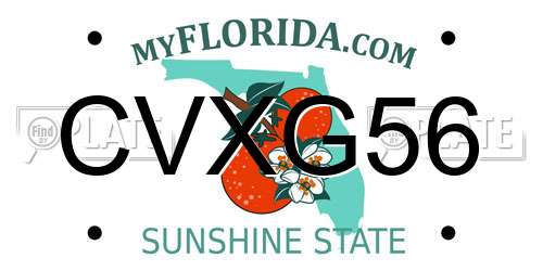 CVXG56 Florida License Plate