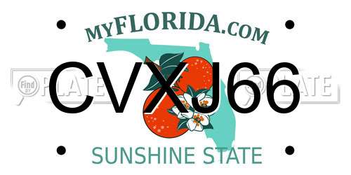 CVXJ66 Florida License Plate