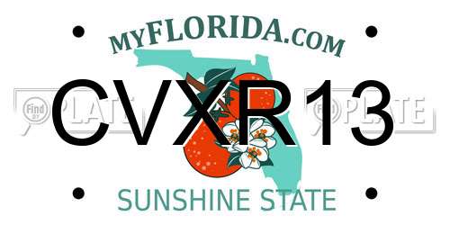 CVXR13 Florida License Plate