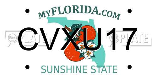 CVXU17 Florida License Plate