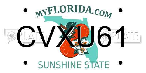 CVXU61 Florida License Plate