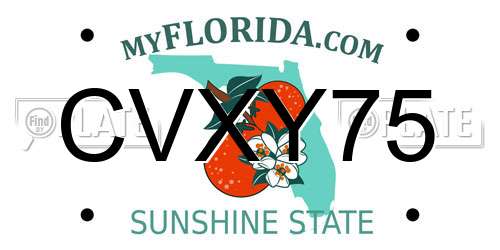 CVXY75 Florida License Plate