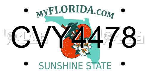 CVY4478 Florida License Plate