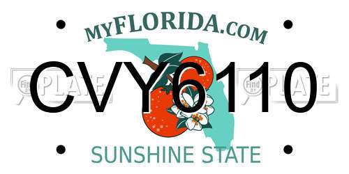 CVY6110 Florida License Plate