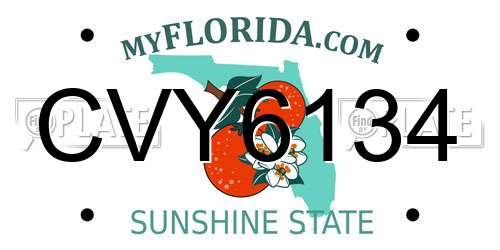 CVY6134 Florida License Plate
