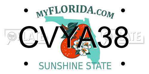 CVYA38 Florida License Plate