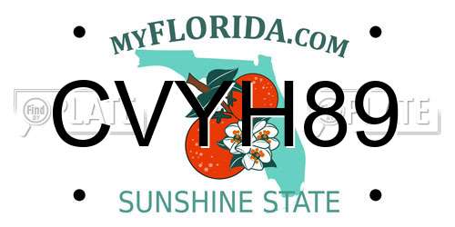 CVYH89 Florida License Plate