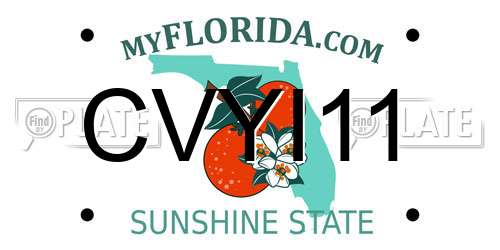 CVYI11 Florida License Plate