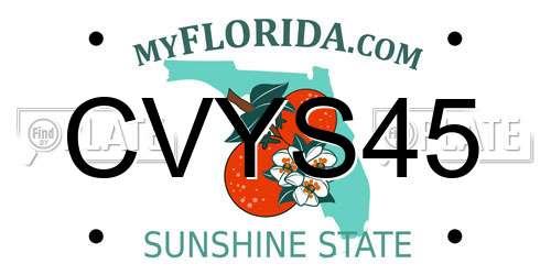 CVYS45 Florida License Plate