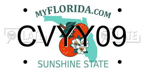 CVYY09 Florida License Plate