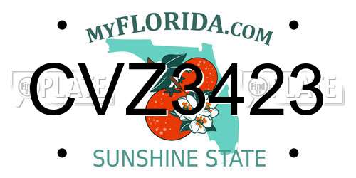 CVZ3423 Florida License Plate
