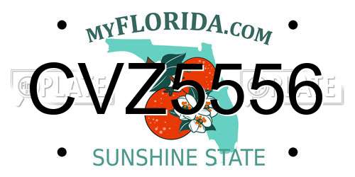 CVZ5556 Florida License Plate