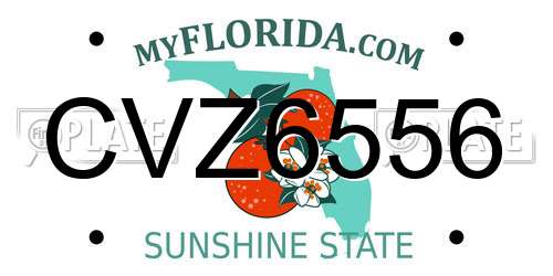 CVZ6556 Florida License Plate