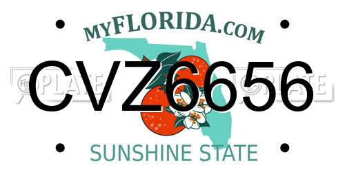 CVZ6656 Florida License Plate