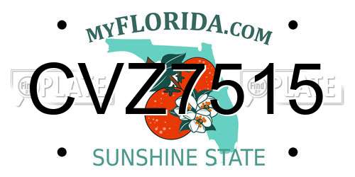CVZ7515 Florida License Plate